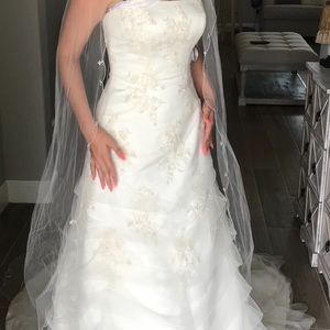 Monique Luo Wedding Dress New With Tags With Veil